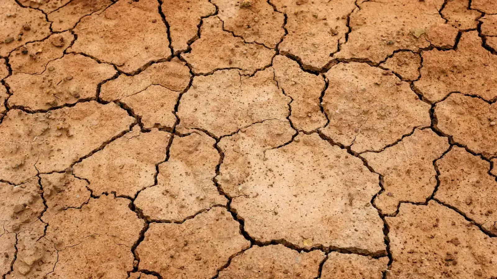 Extraction & Pollution: The Problem Is Bigger Than Carbon