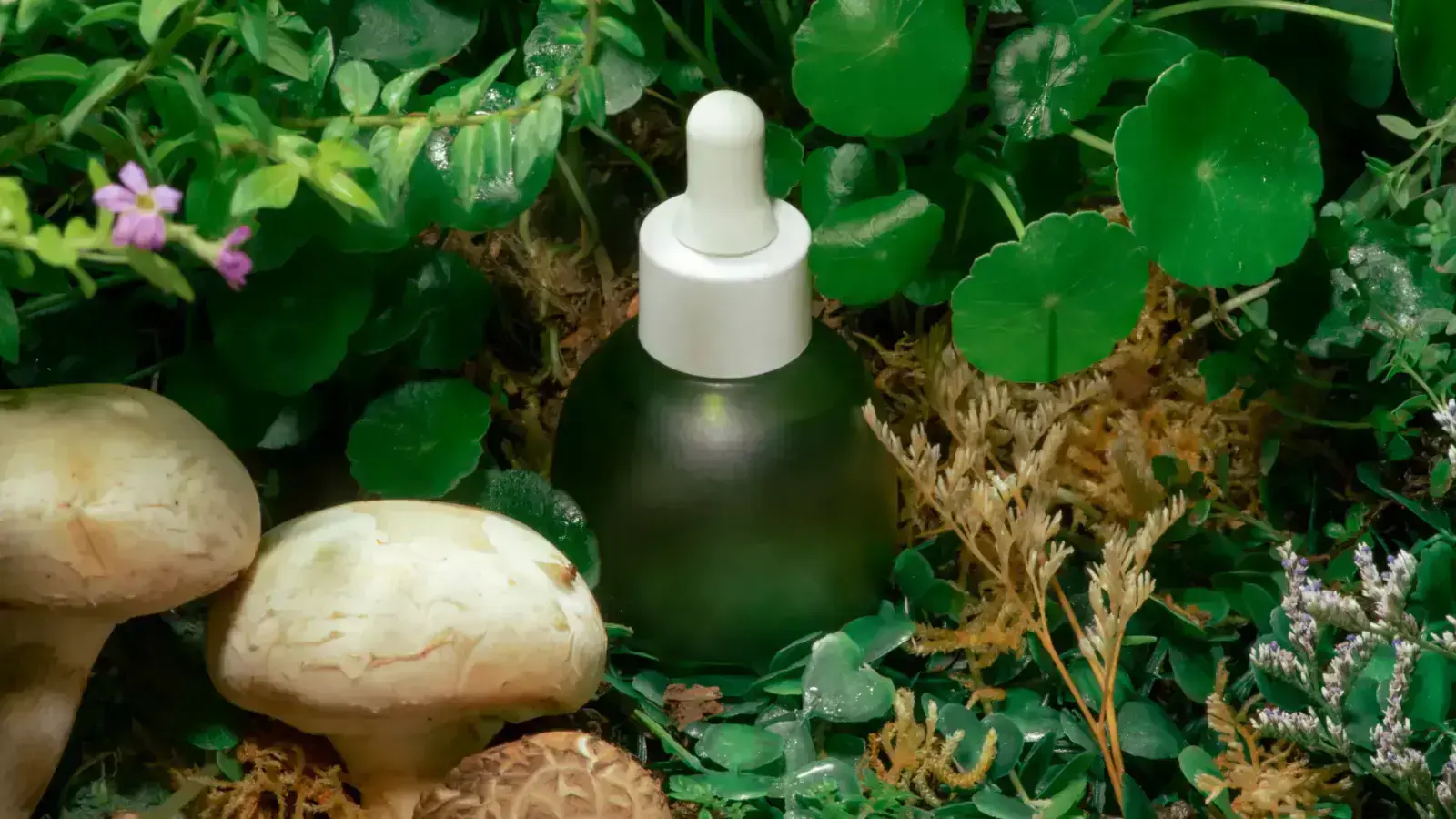 How Sustainable Cosmetics is a Game-Changer for Your Beauty Routine