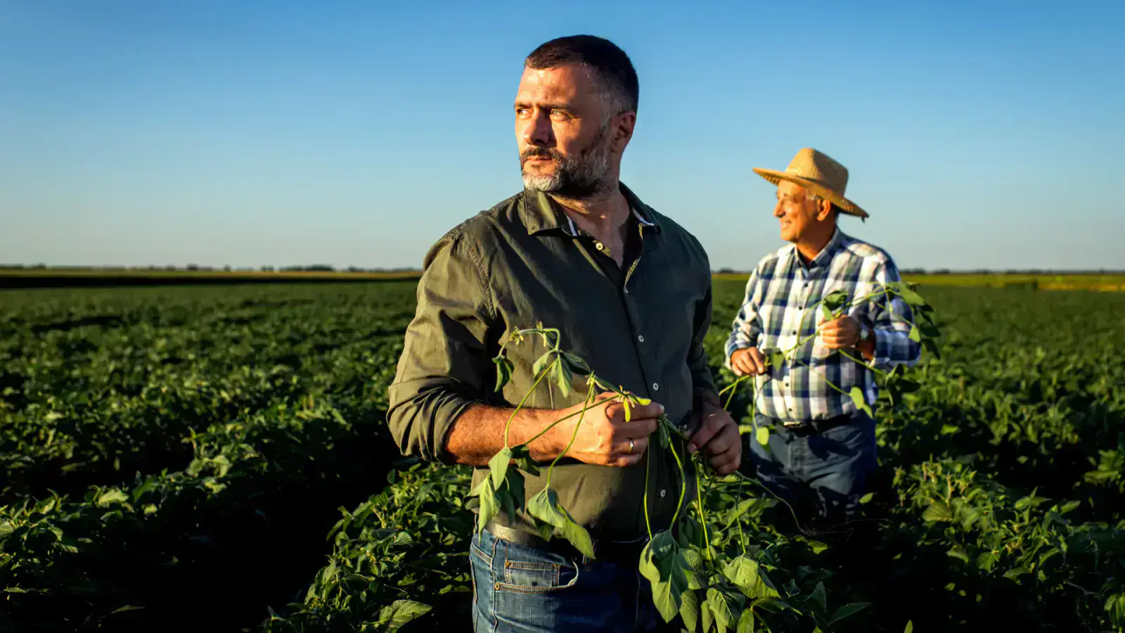10 Regenerative Agriculture Practices to Enhance Soil Health