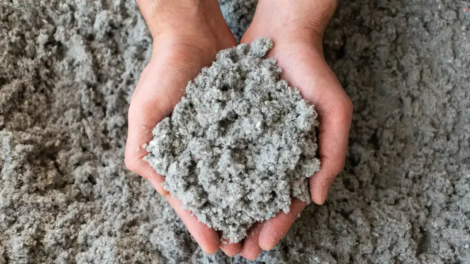 An Exciting Future in Renewable Energy Using Cellulosic Feedstocks