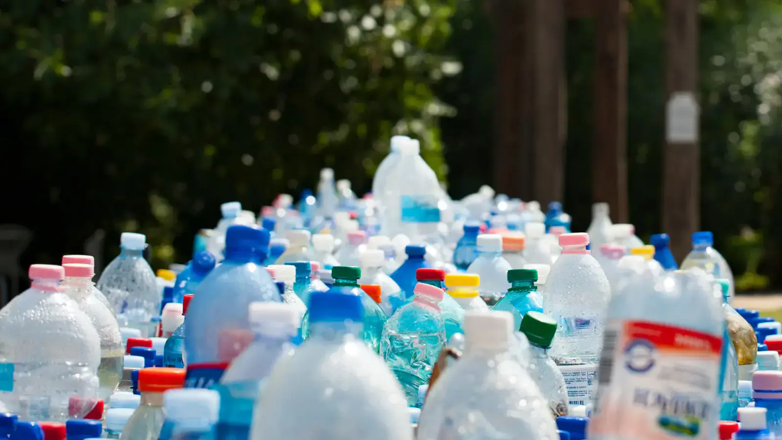 Exciting Discoveries in Plastic Recycling Trends