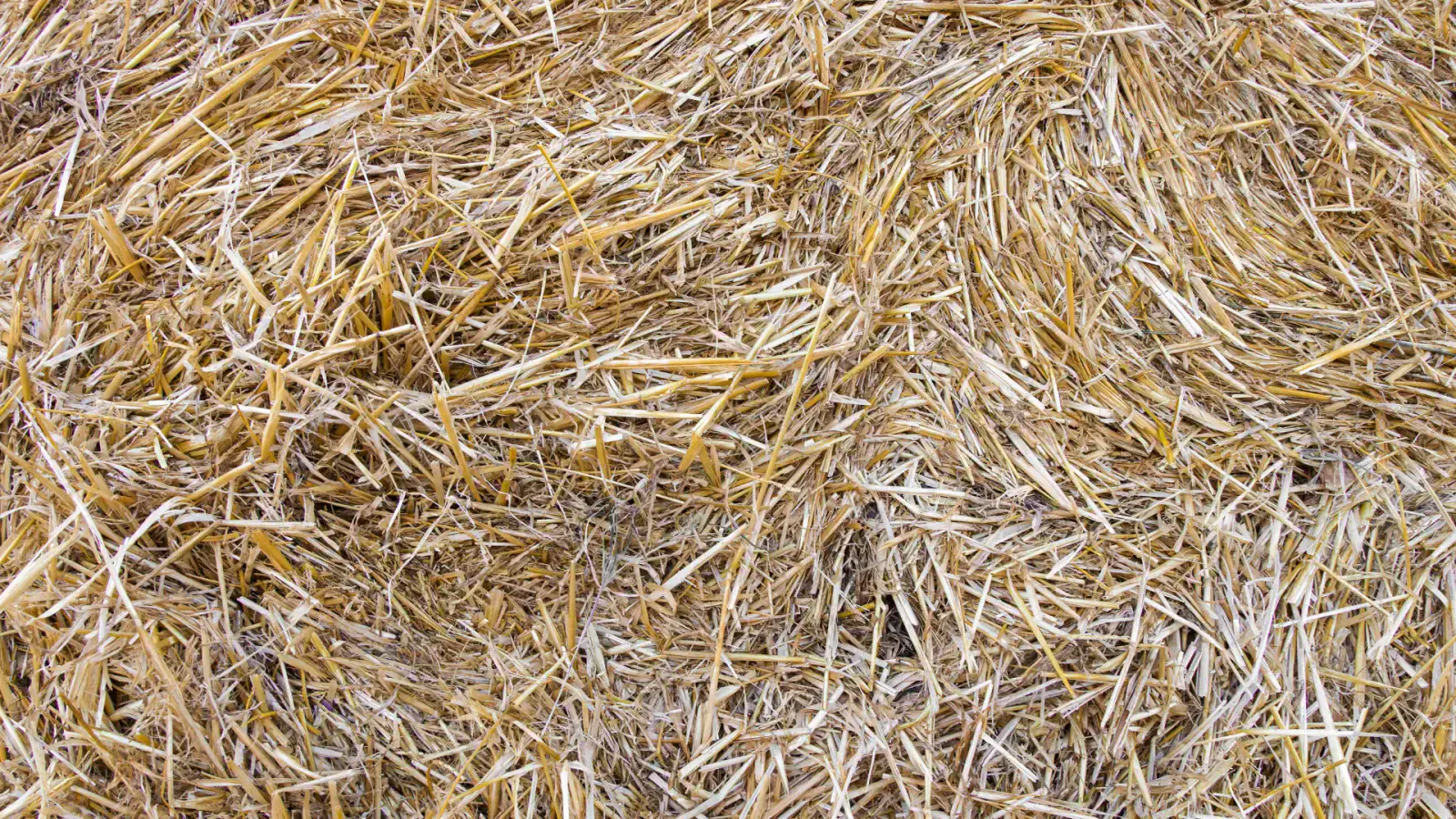 A Positive Look into the World of Agricultural Residues