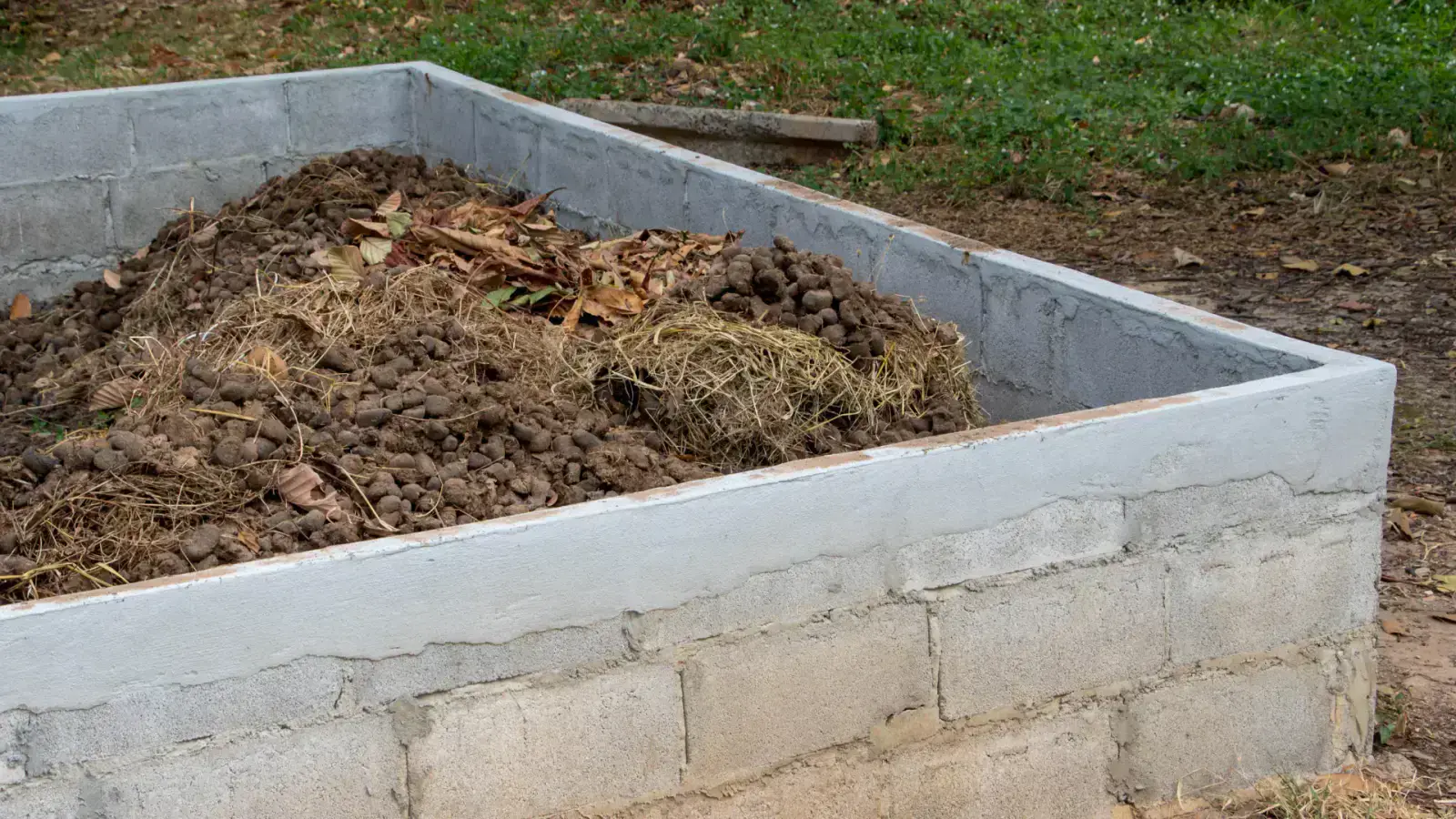 Maximizing Animal Manure Benefits for Your Sustainable Start-Up