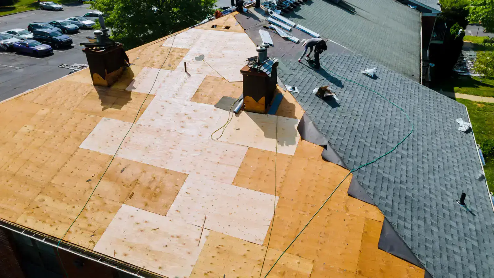 Sustainable, Cost-Effective and Eco-Friendly Wood Replacements Innovations