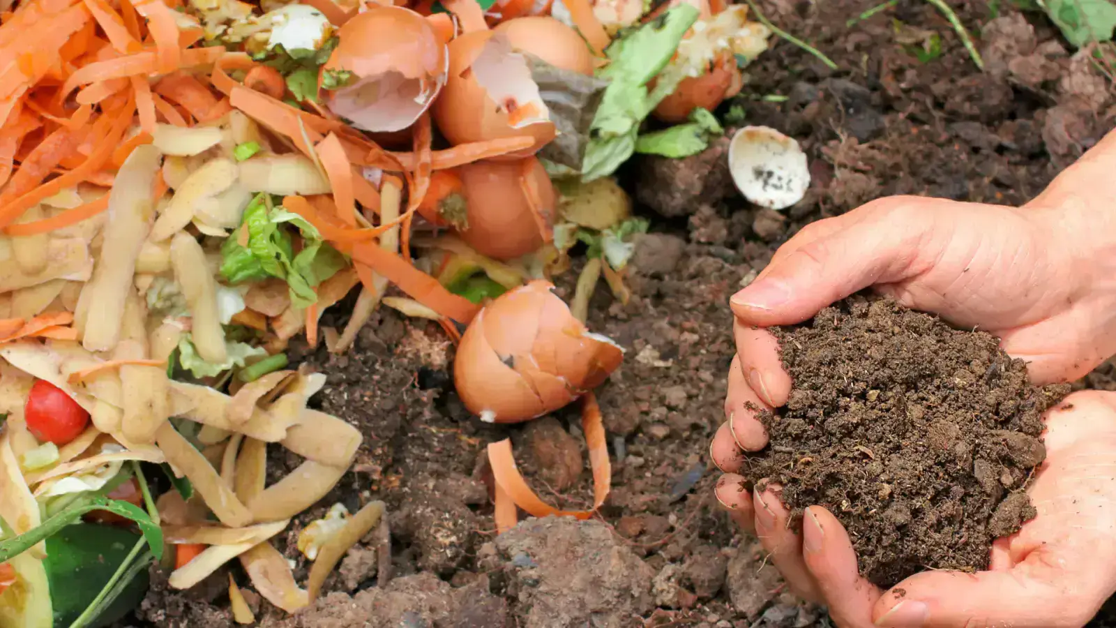 Unearthing Success With Zero Waste Strategies Today