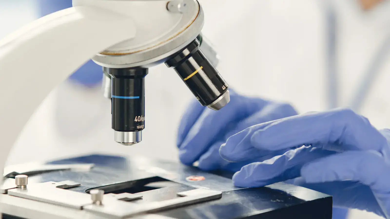 Unearthing the Potential of Bio-based Polyols and Diols for a Sustainable Future