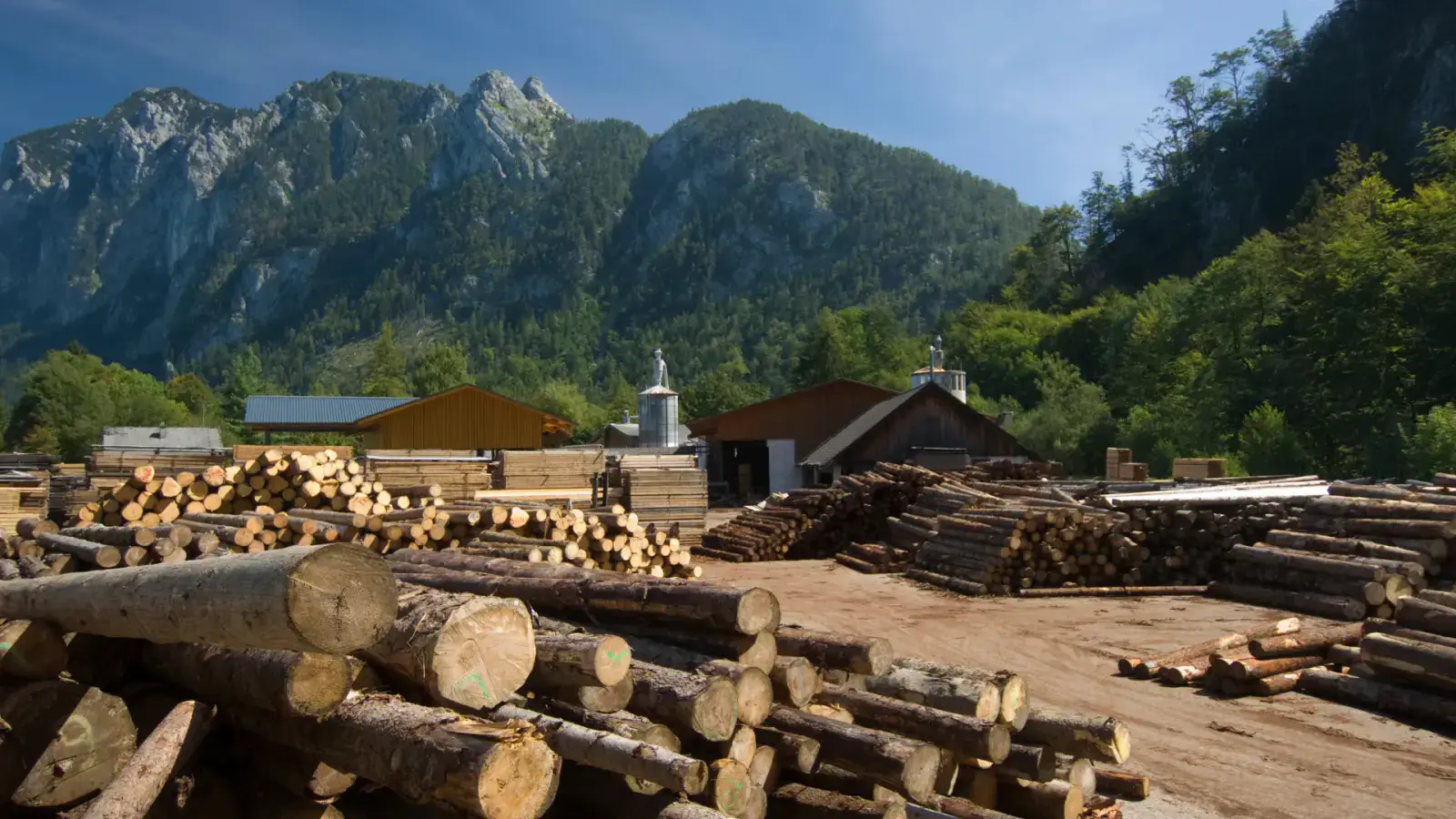 Facilitating Circular Economy in Forestry From Waste to Hi-Tech Bioproducts