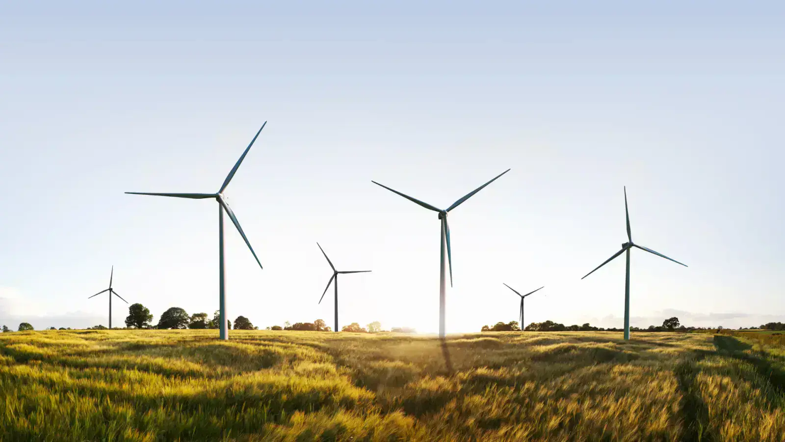 Overcome Environmental Challenges With Clean Tech Innovations