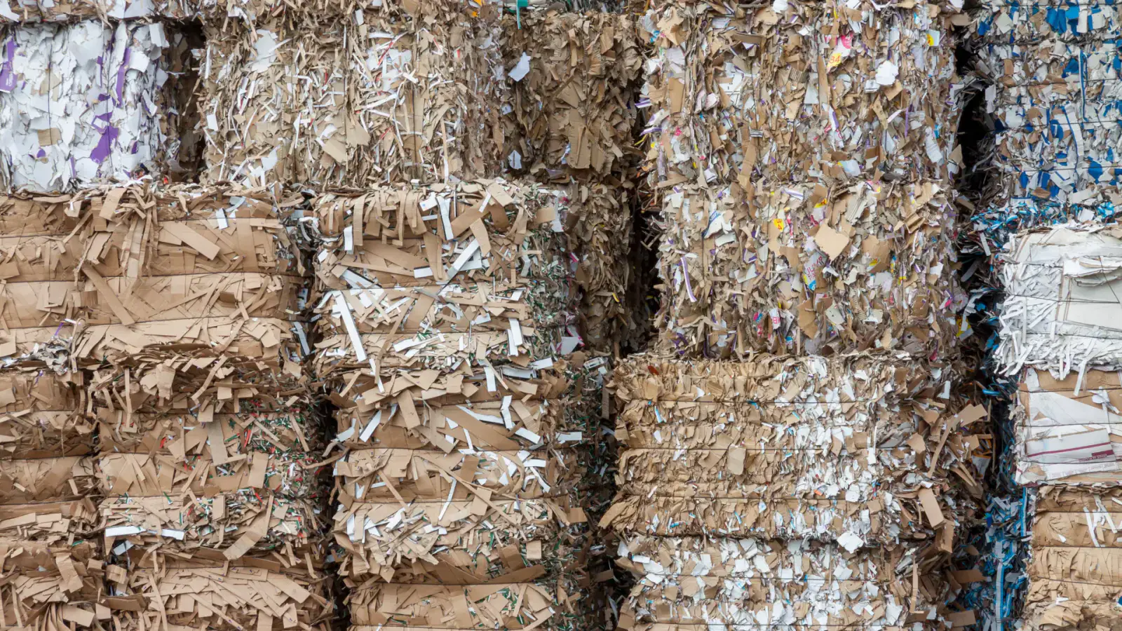 Achieving Circularity in the Industrial Paper Sludge Supply Chain by Transforming Residual Pulp Waste into New Opportunities