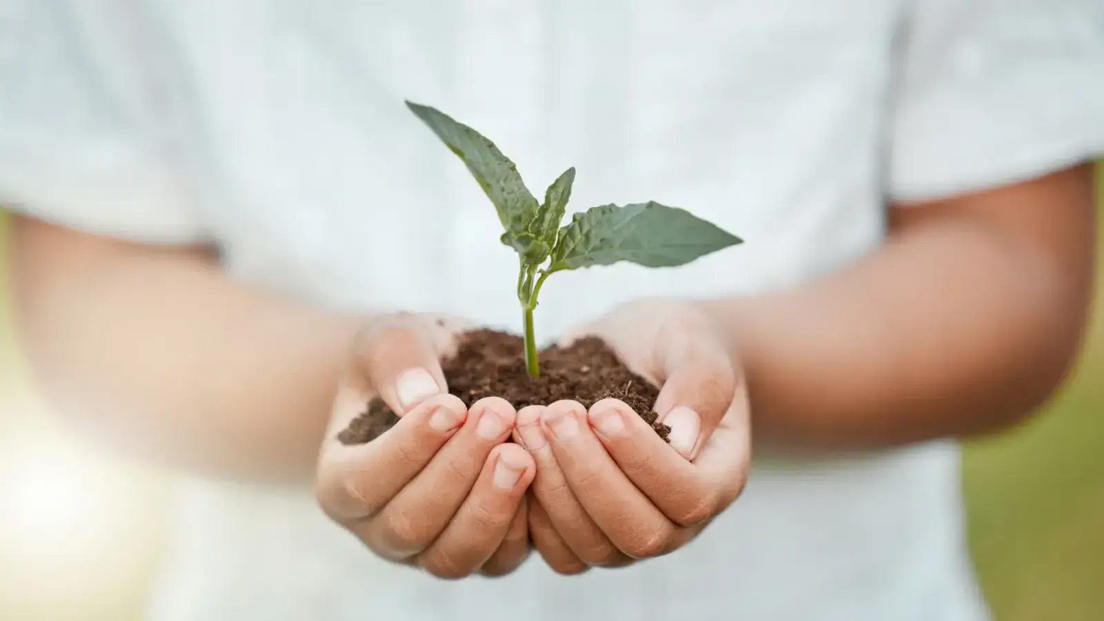 Major Sustainability Trends Shaping the World by 2025