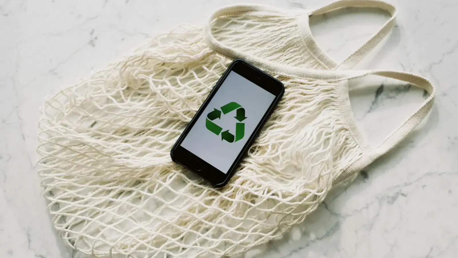 The Future of Global Sustainability Policy and Action