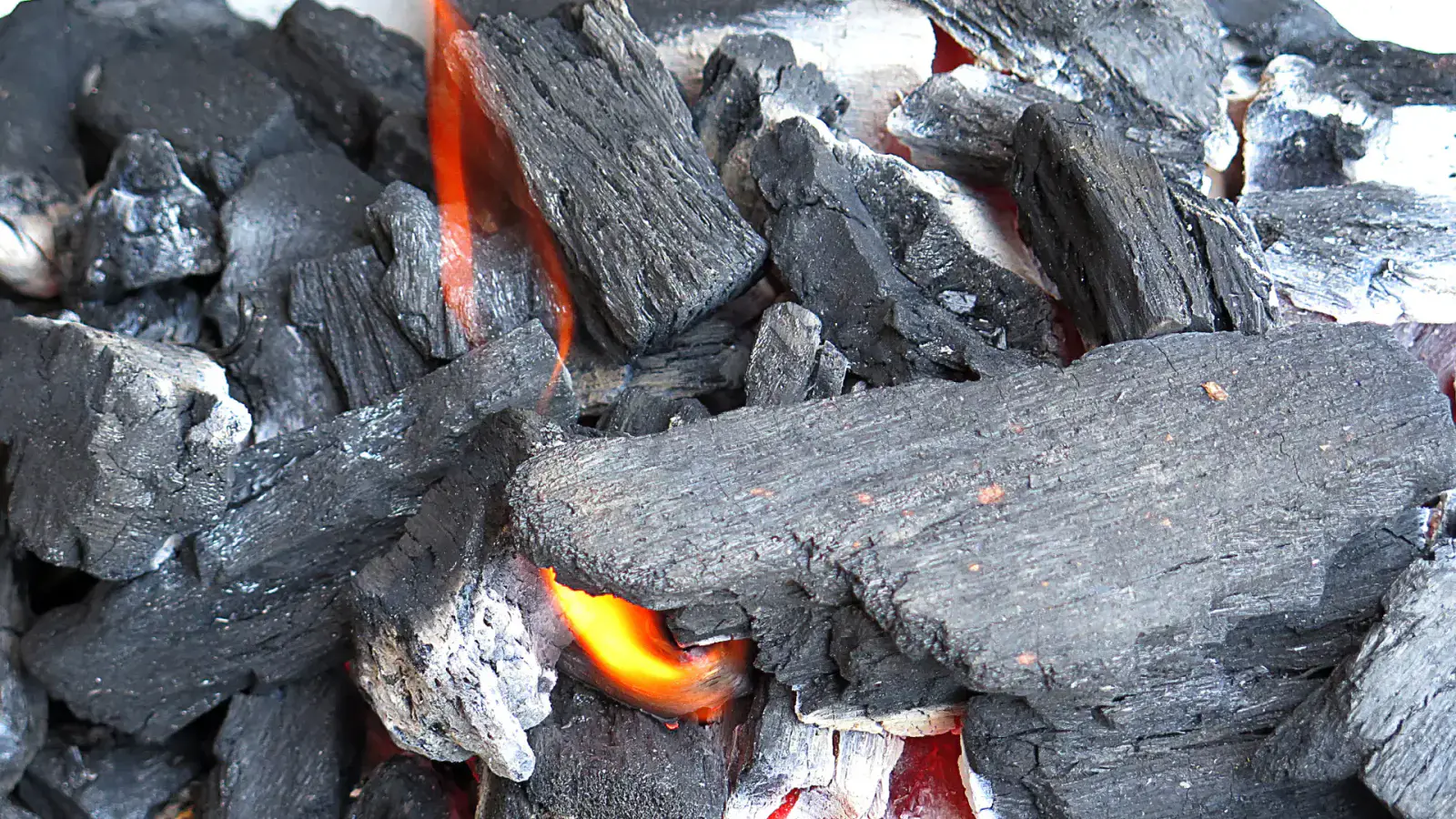 Leap from Fossil Fuels to the Future: Embracing Renewable Feedstocks and Biomass