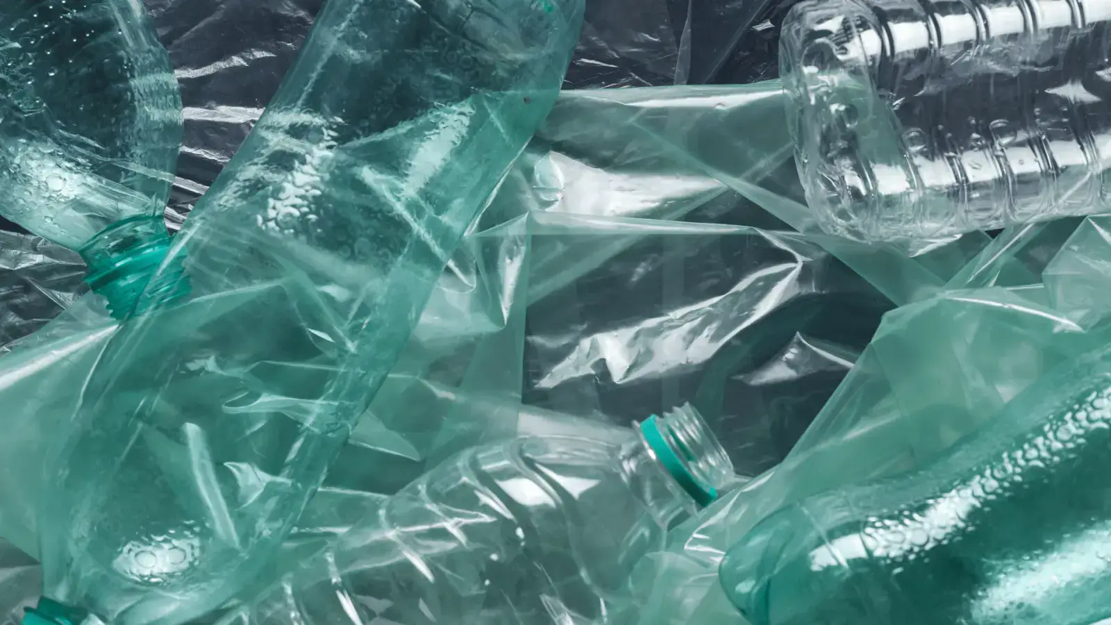 Unleashing the Potential of Compostable Plastics for a Truly Circular Economy