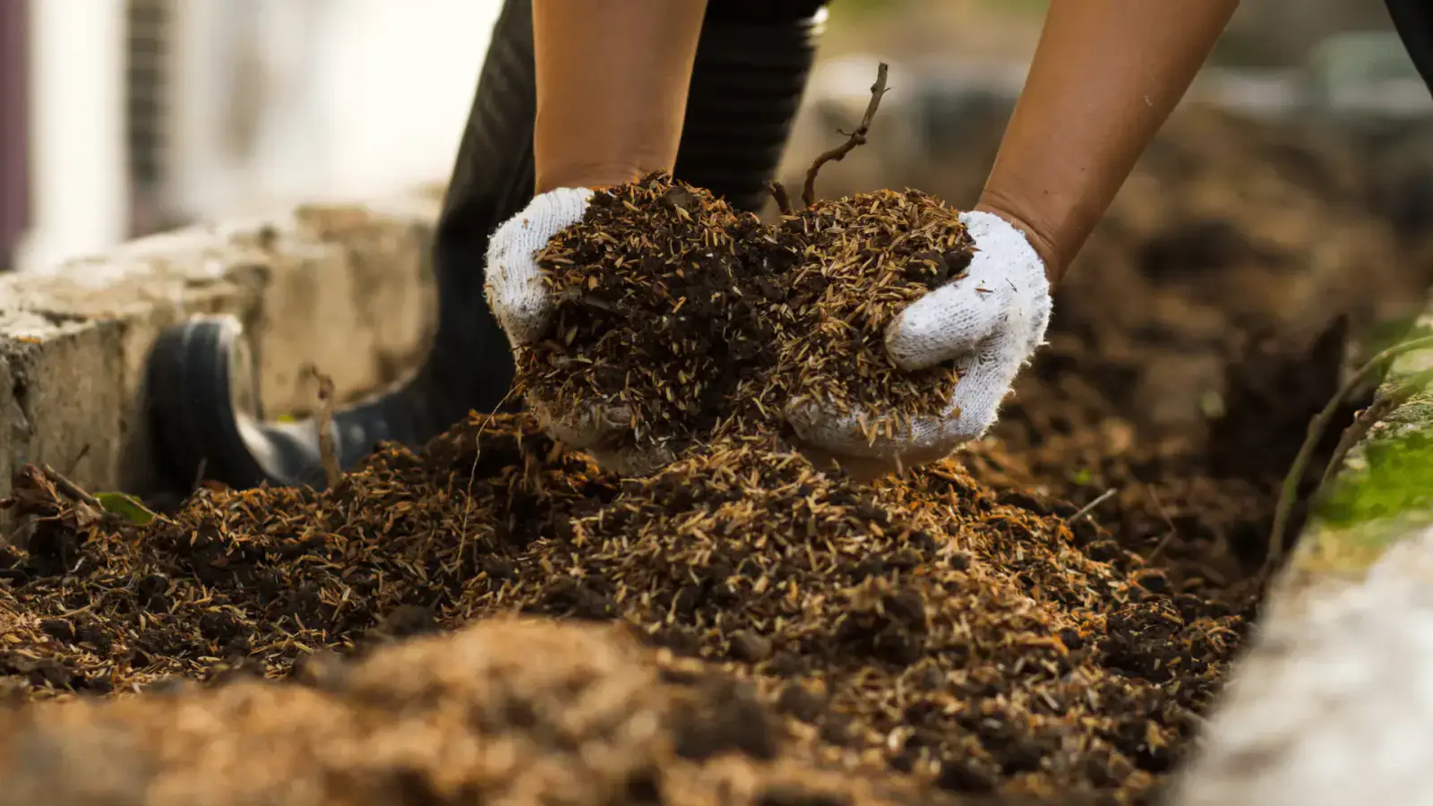 Mastering Soil Nutrient Recovery By Boosting Circularity for Phosphorus and Nitrogen Recapture