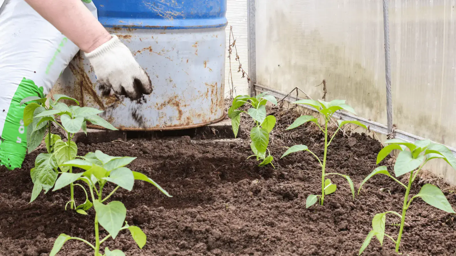 Mastering Soil Nutrient Recovery By Boosting Circularity for Phosphorus and Nitrogen Recapture
