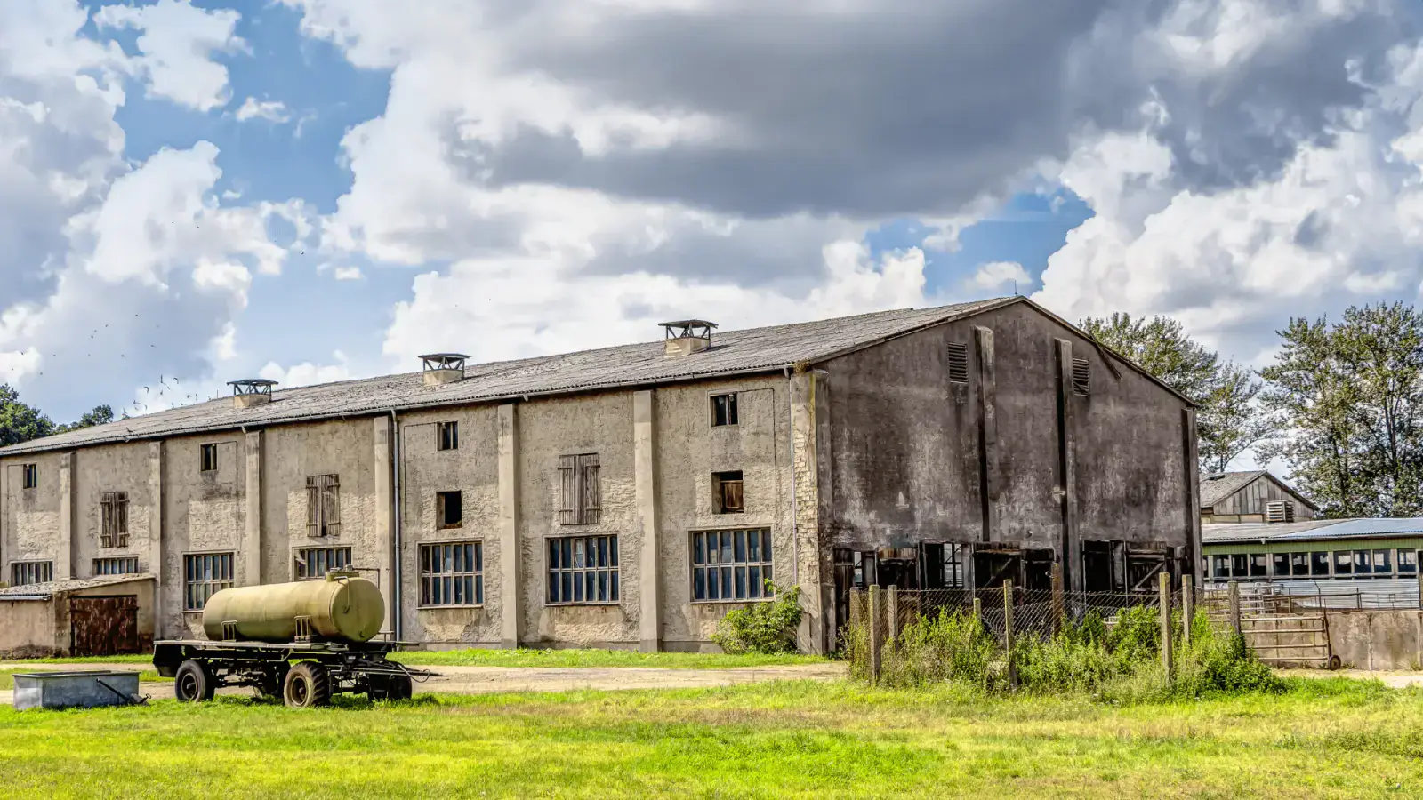 Unlocking Circular Economy Benefits by Using Slaughterhouse Byproducts