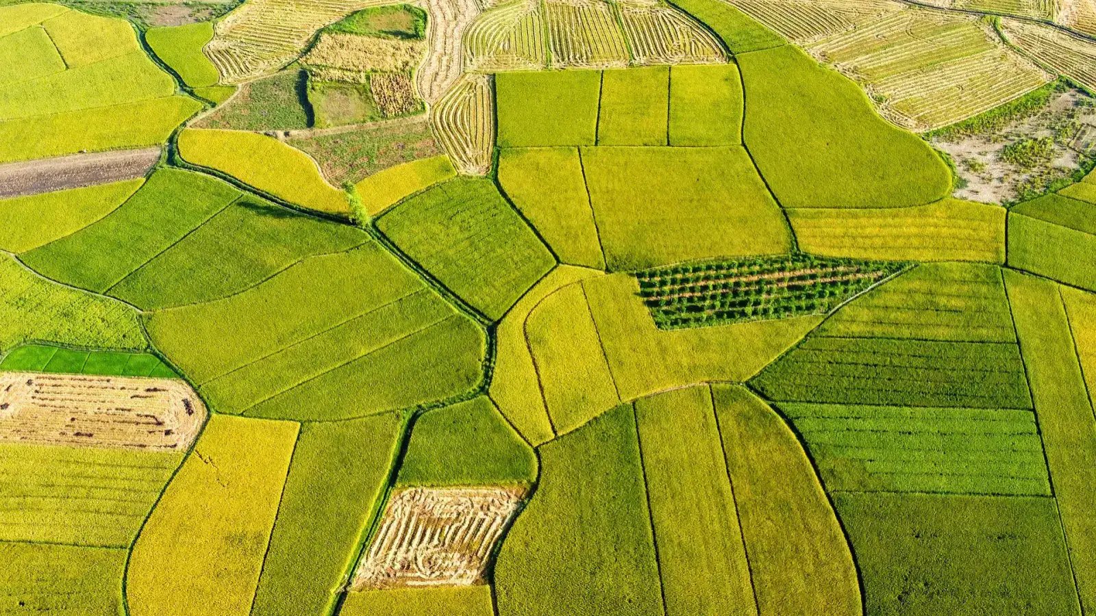 Master the Art of Identifying Blind Spots in Materials Sourcing