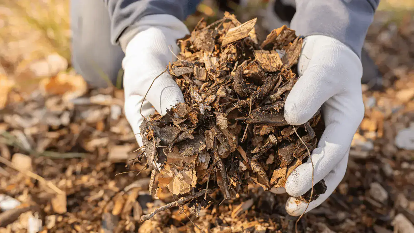 Agricultural Waste to Packaging Using Farm Byproducts for Sustainable Solutions