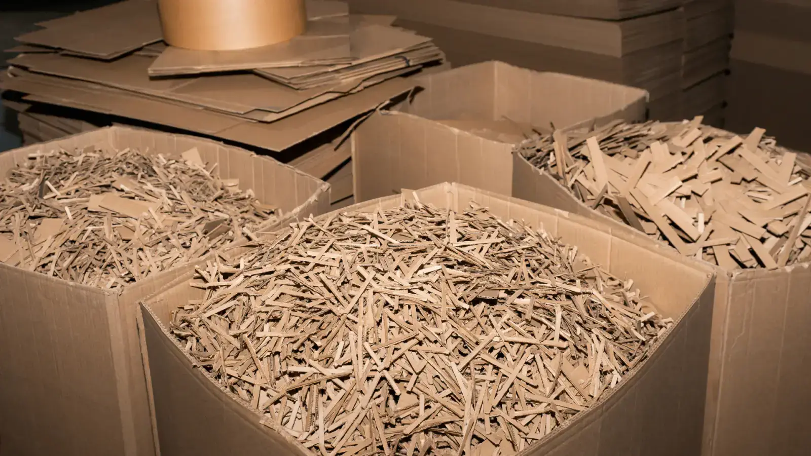 Compostable Packaging Certifications Validating Biodegradability Standards