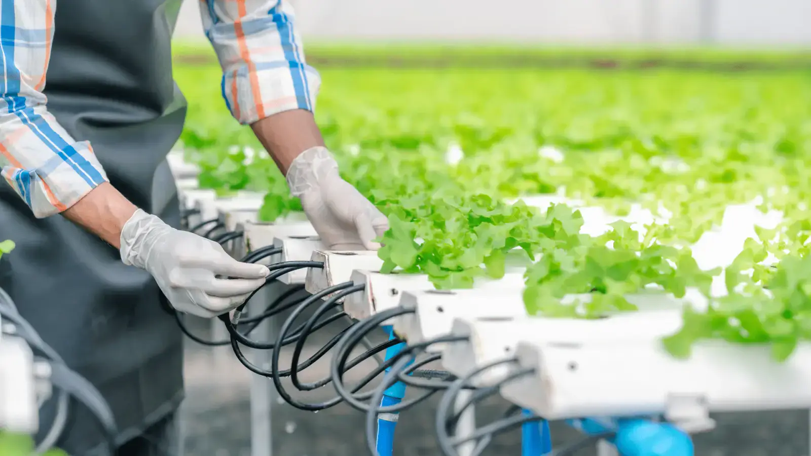 Sustainable Product Lifecycle Management for Eco-Friendly Innovation