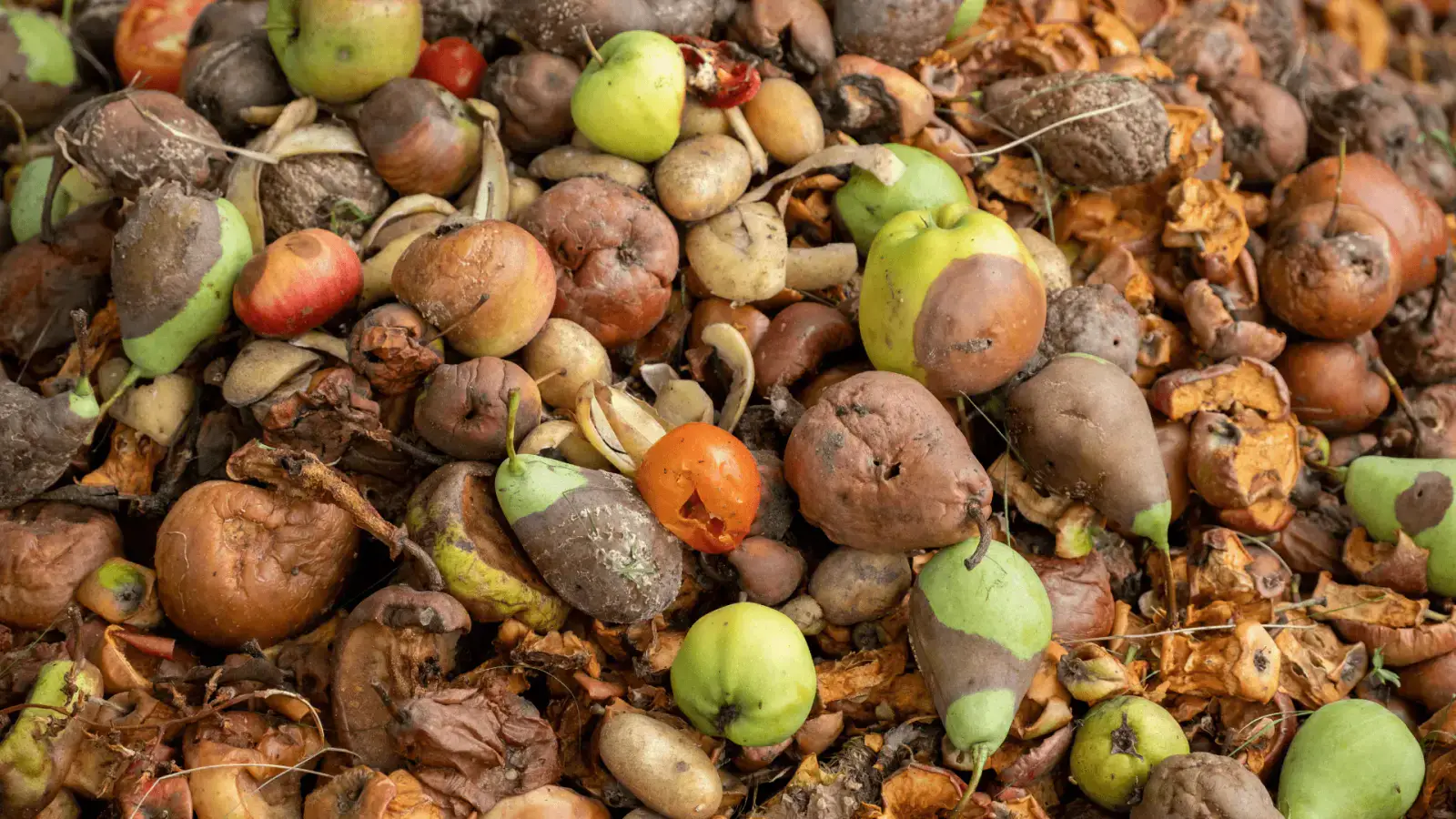Harnessing Biogas from Livestock to Bolster Methane Supply Chain
