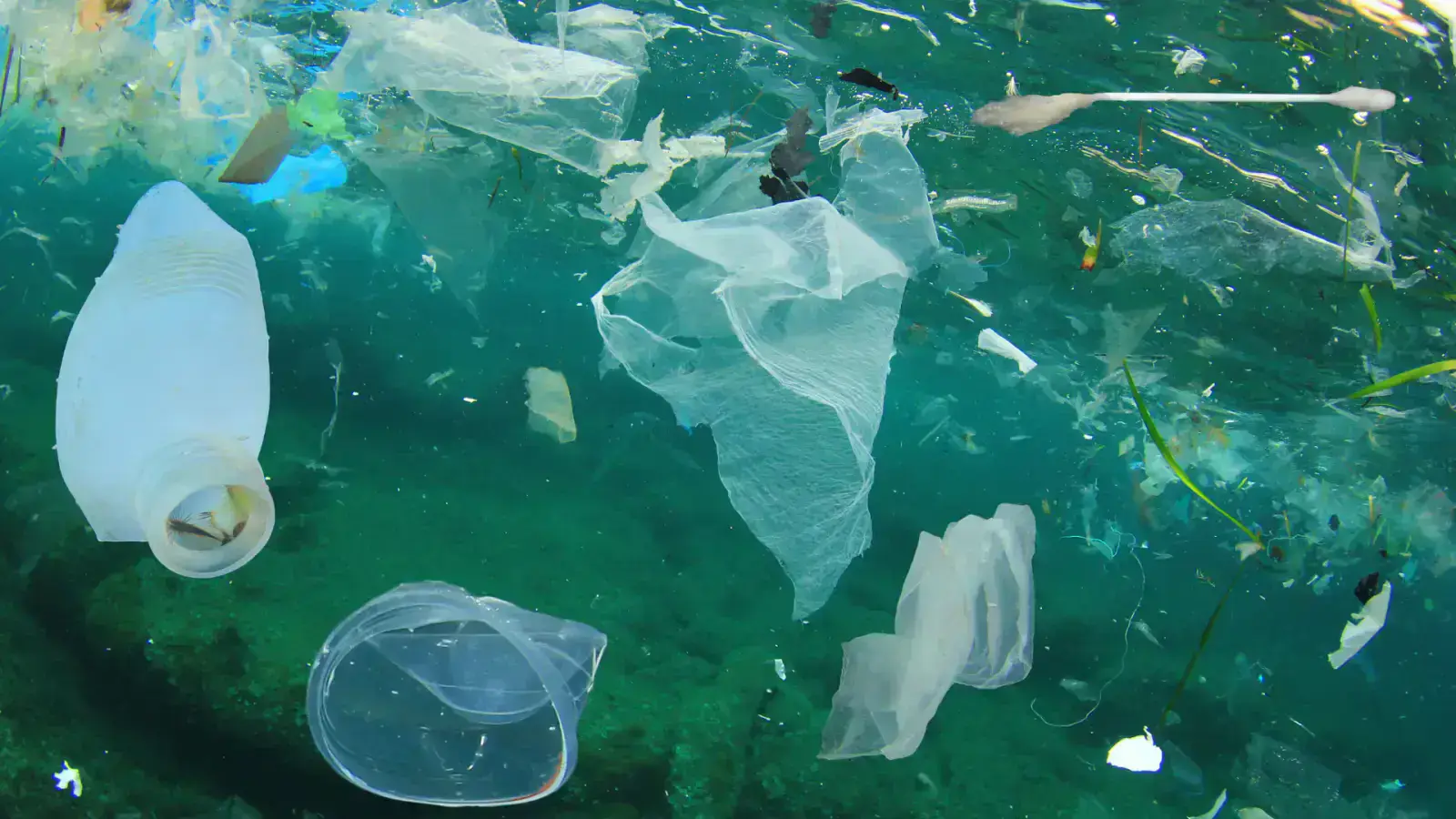 Real-Time Pollution Control: Detect and Prevent Contamination Before It Starts