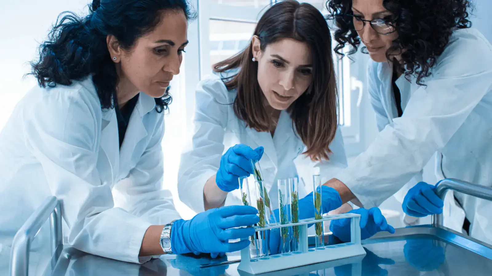 Sustainable Chemicals: Paving the Path to a Safer Planet