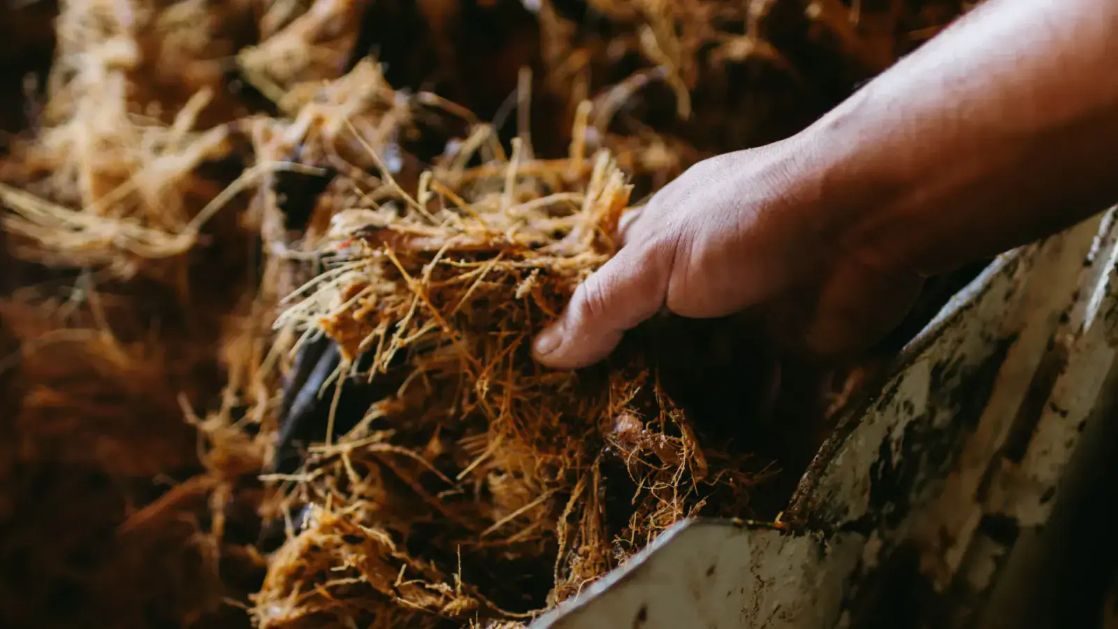 Biorefining Converting Biomass into Fuels Chemicals and Sustainable Products