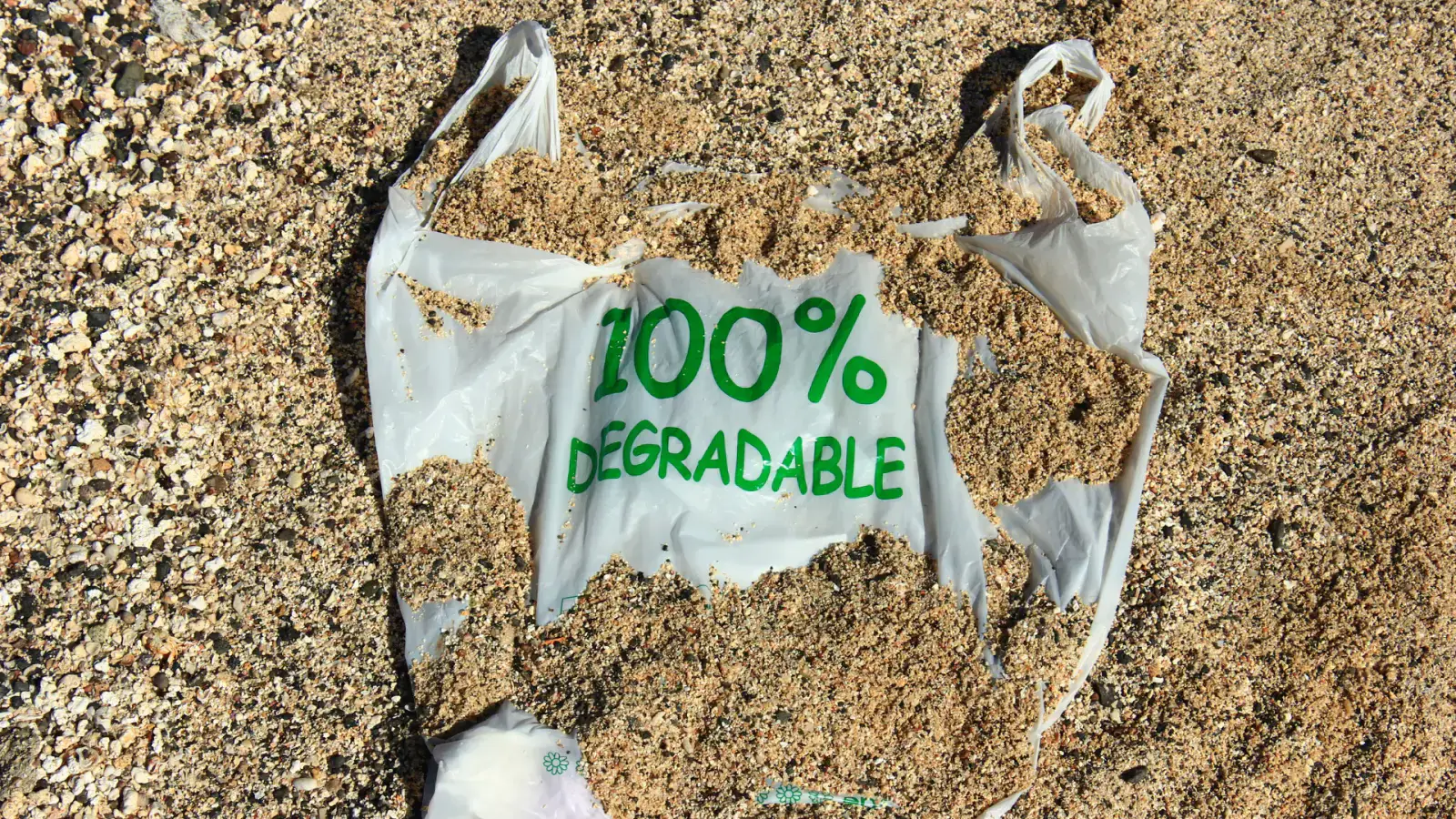 Creating Circularity in Plant-Based Bioplastics Supply Chain