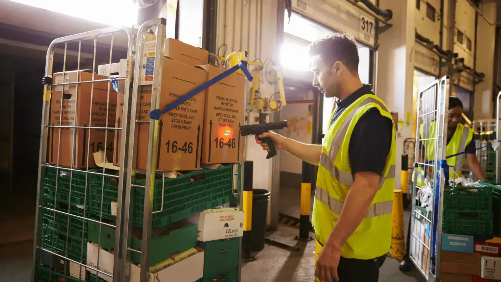 Government Regulations in Sustainable Packaging: A Guide
