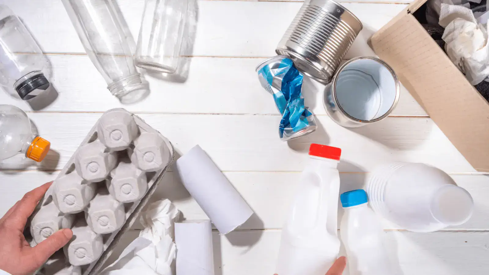Next-Gen Innovations Materials and Technologies Redefining Sustainability
