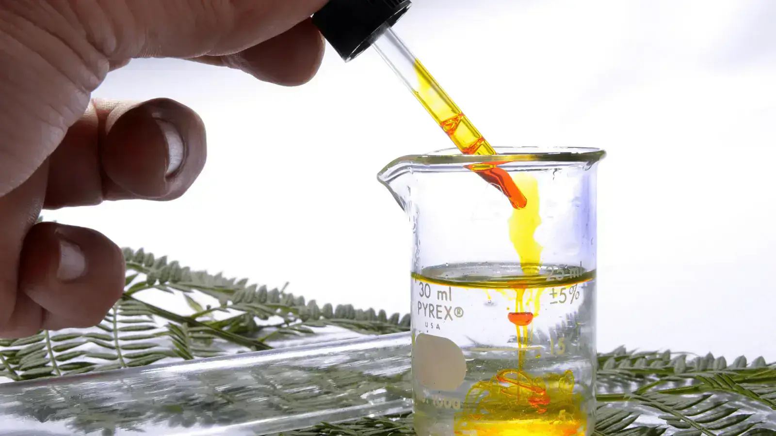 Catalysts for Milder Reaction Conditions: Boosting Safety and Chemical Sustainability