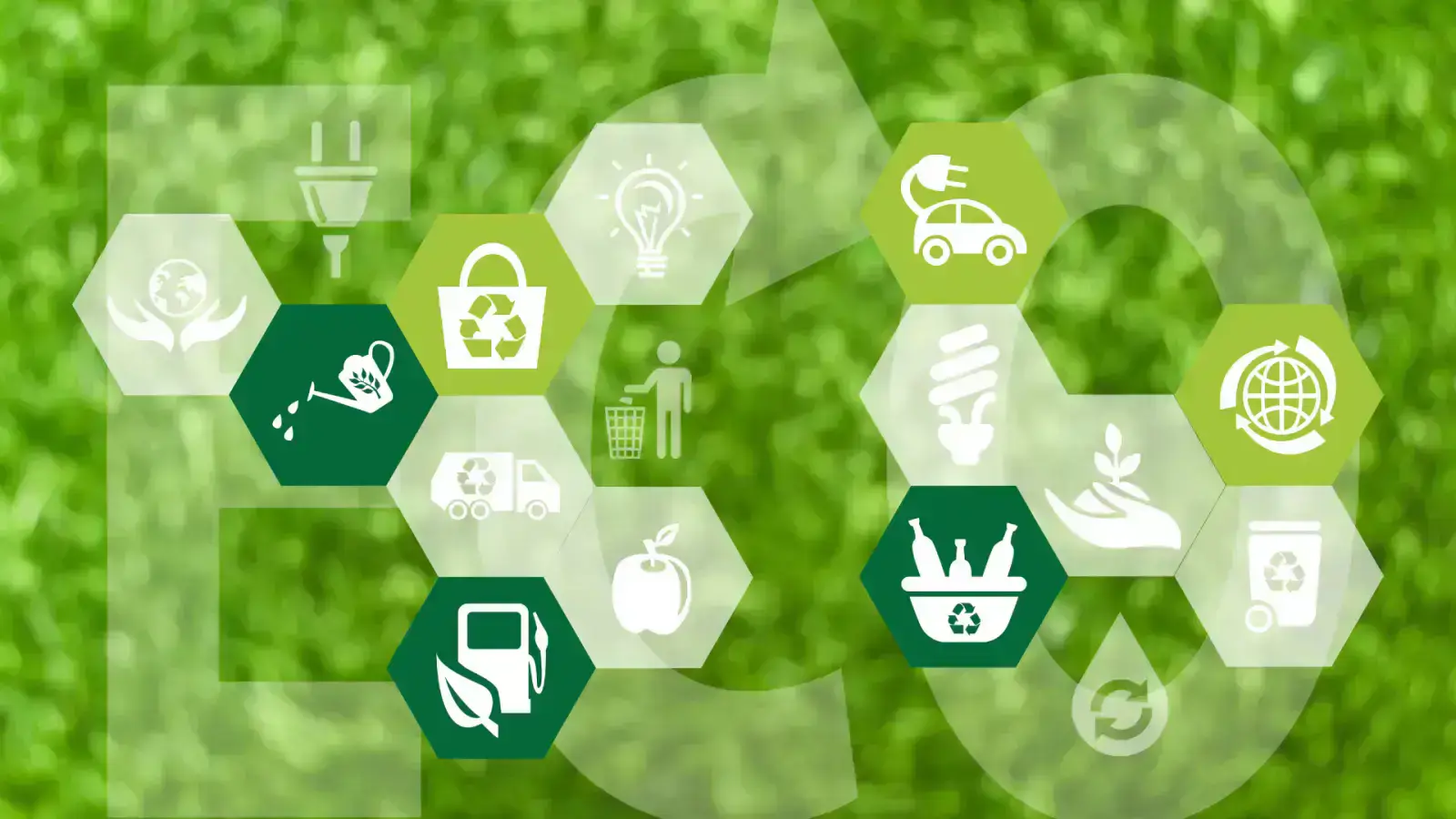 Developing Low-Carbon & Carbon Capture Solutions for a Greener Future