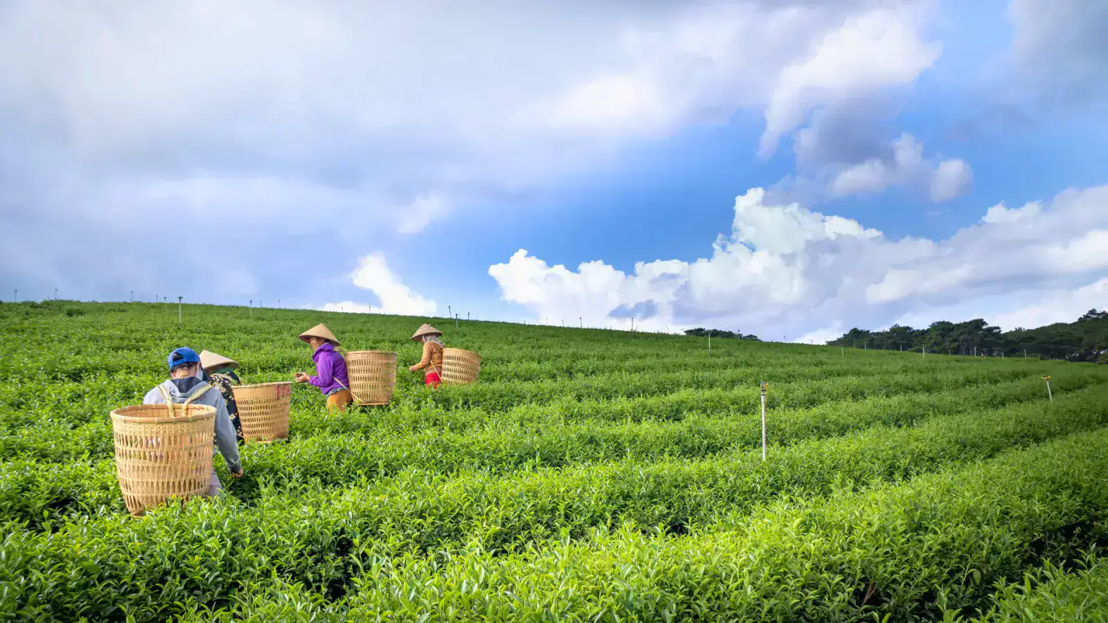 Eco-Friendly Farming: Protect Our Planet and Our Health