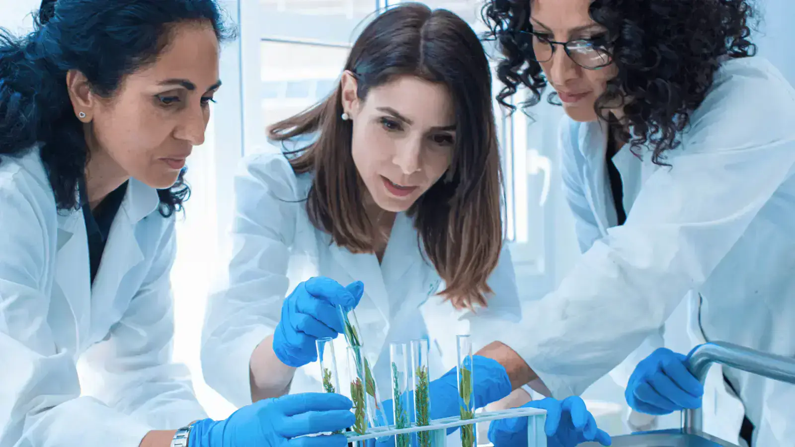 Engineering Microorganisms for Sustainable Chemical Production