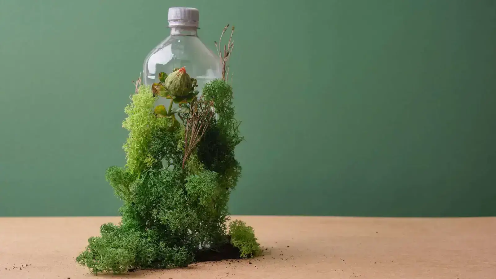 Circular Economy Design for Reuse & Recyclability