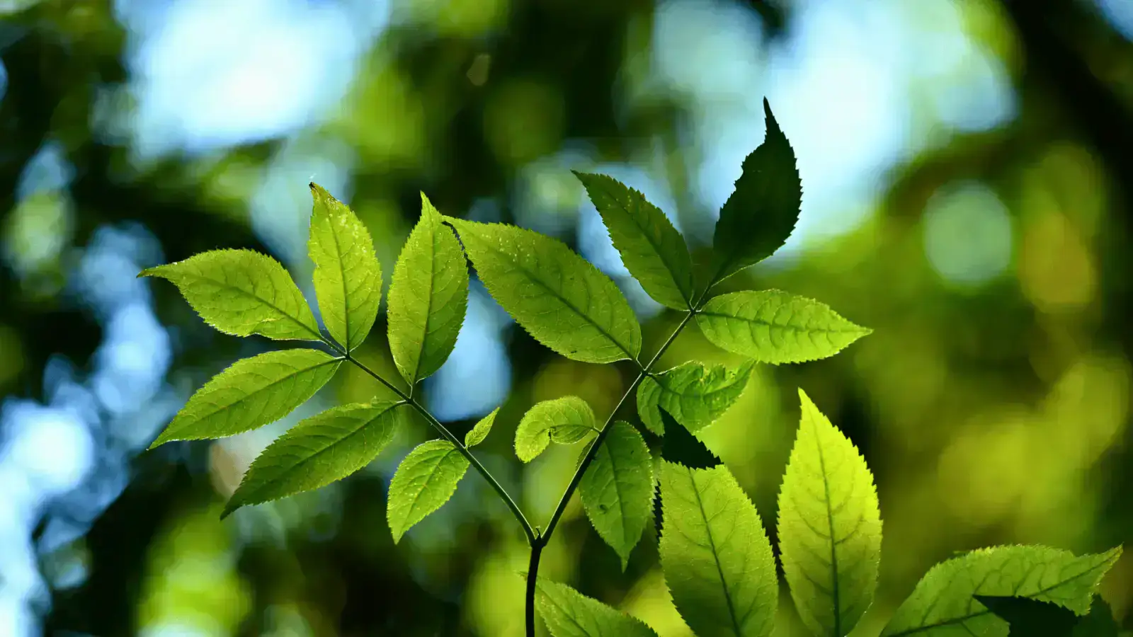 Resource Security: Sustainable Sourcing and Circular Models