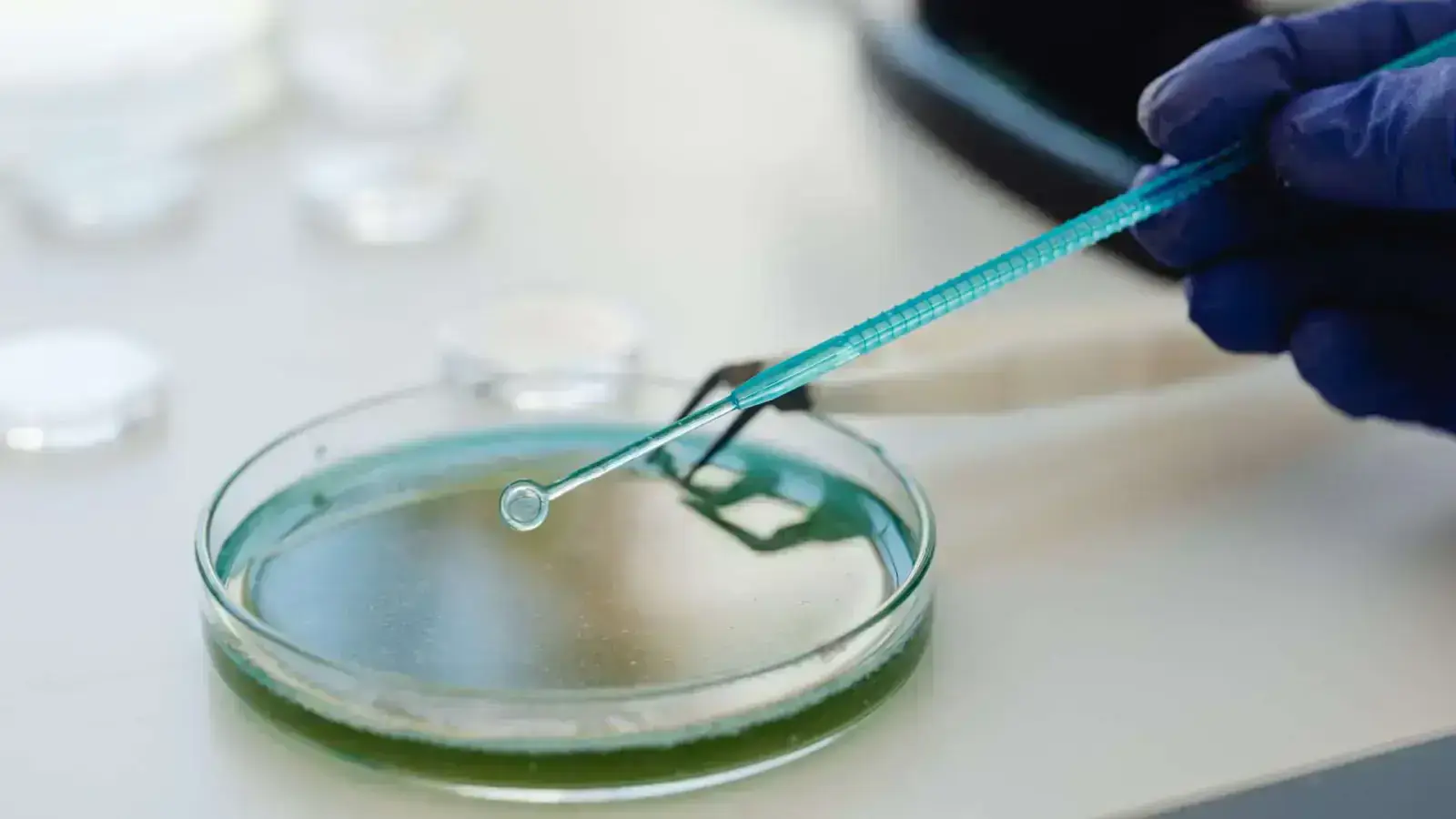 Smart Additives: Materials That Respond to Their Environment