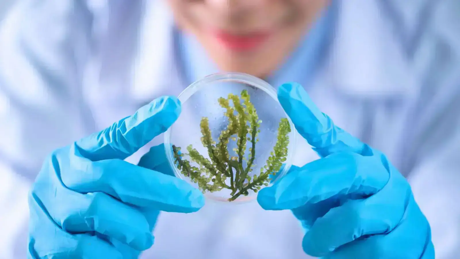 Biochemistry: Nature's Toolbox for Sustainable Chemical Solutions