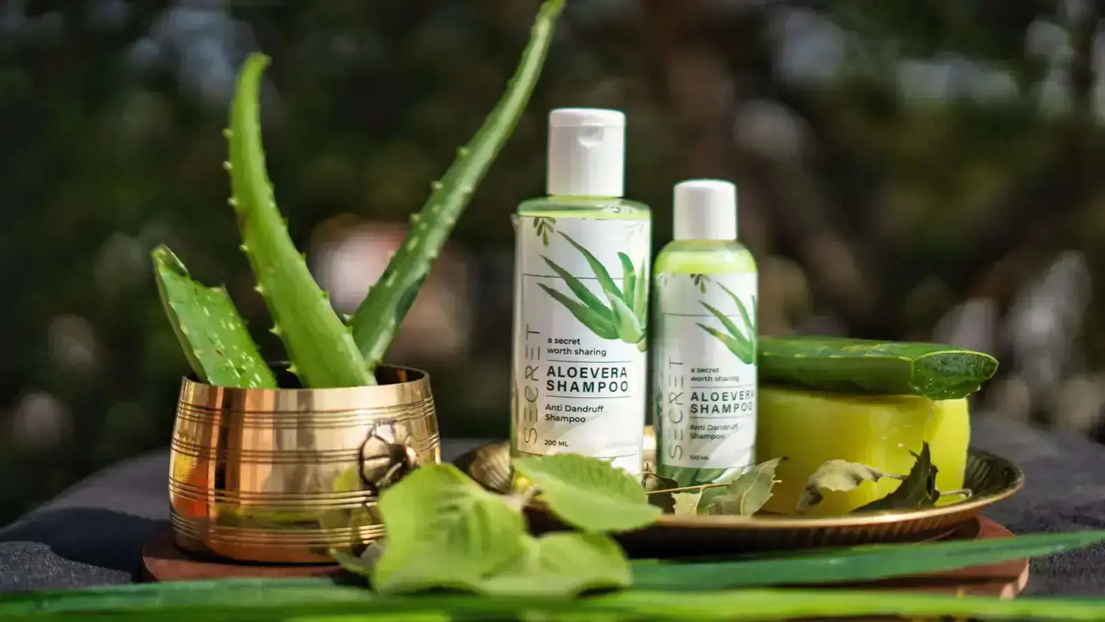 Revolutionizing Sustainable Hair Care Choices