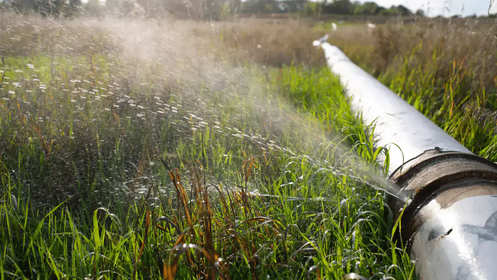 Reduce Water Pollution: Sustainable Solutions for a Cleaner Future