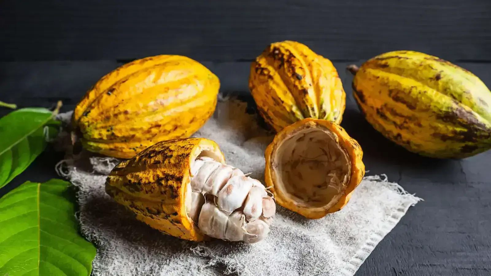 Creating Circularity in Cacao Pods and Husks Supply Chain