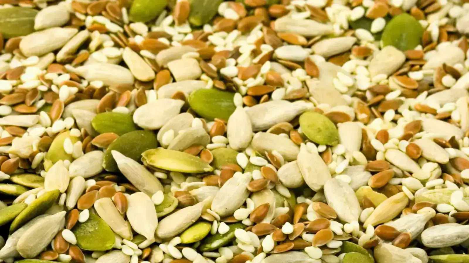 Unlocking Value: Circularity in Pits and Seeds Supply Chain