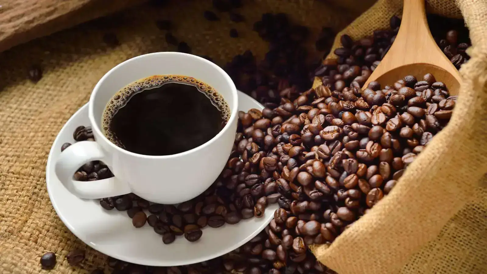 Global Impact of Coffee Husks and Silverskin Circularity