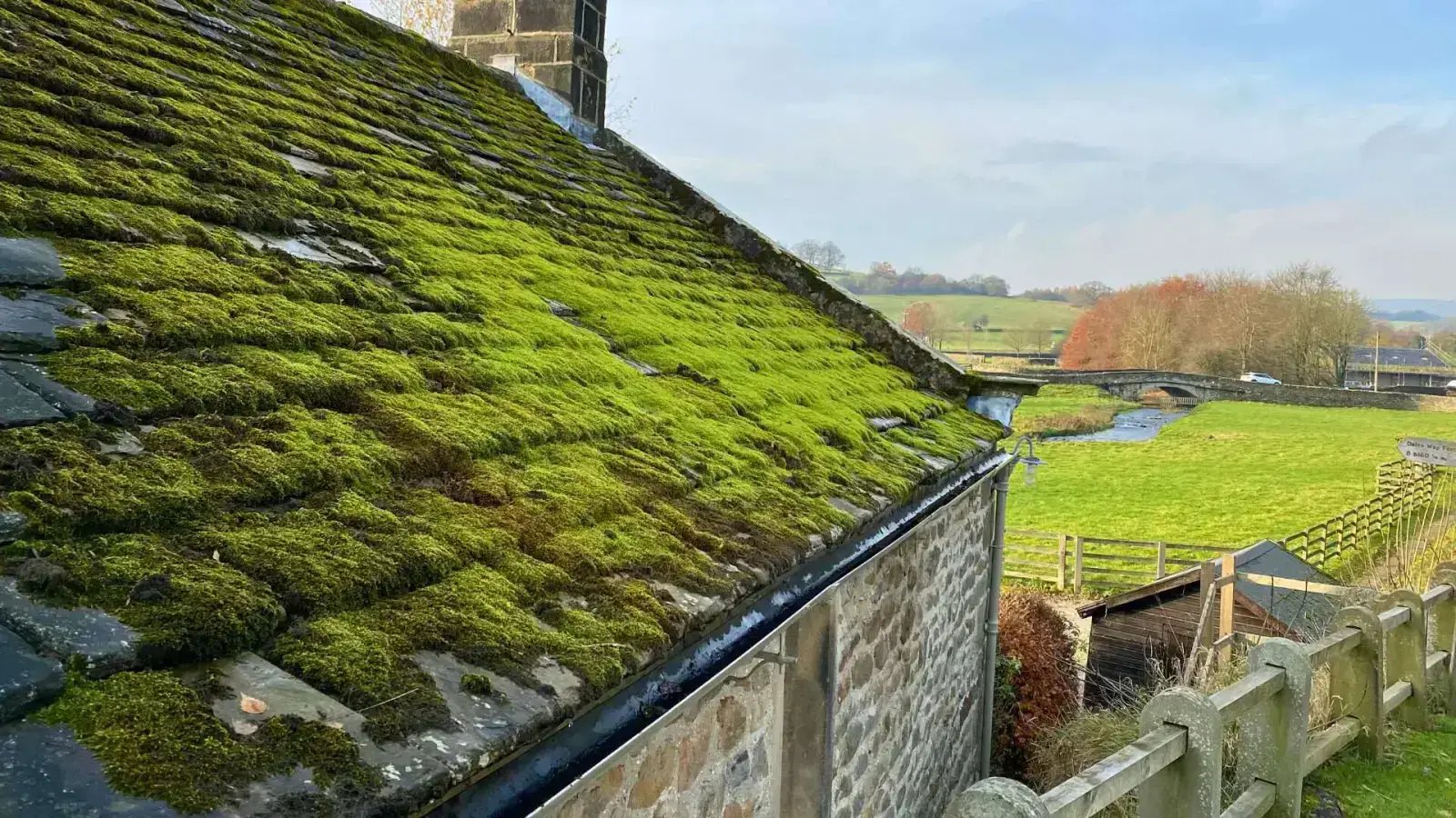 Green Roof Benefits: Transforming Urban Landscapes