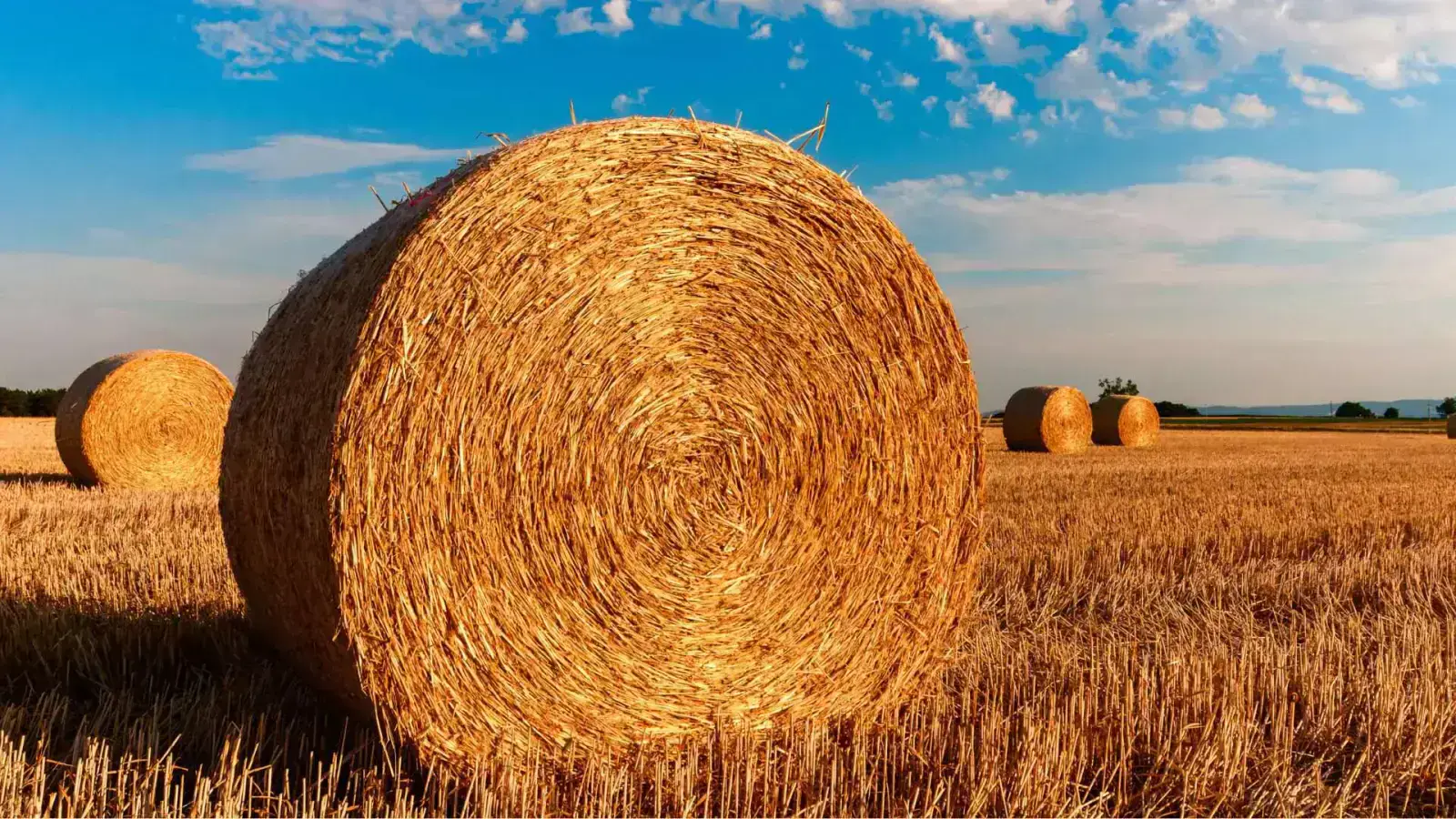 Straw Bale Insulation: Transforming Walls with Thermal Innovation