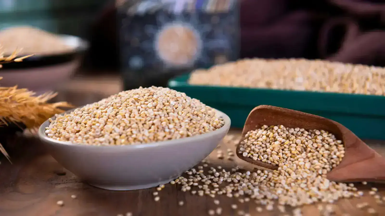 Ancient Grains: A Resilient and Nutritious Future for Our Planet