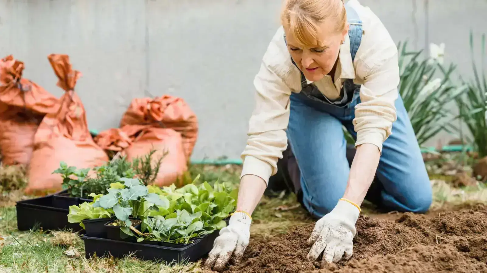 Reducing Waste with Compostable Agricultural Films