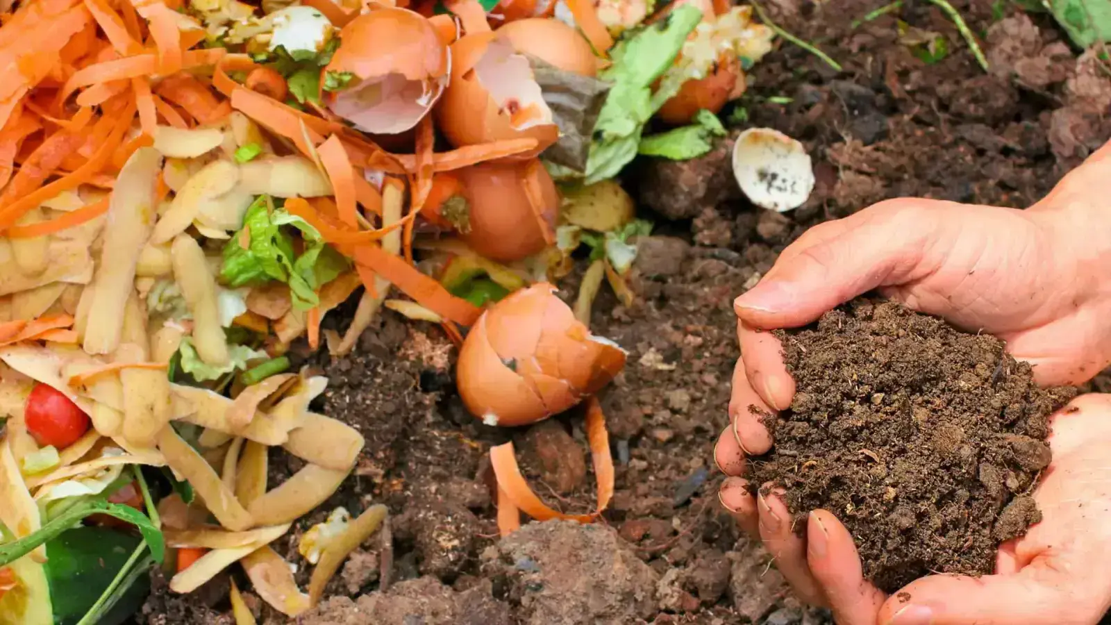 Large-Scale Composting for Municipal and Business Organic Waste