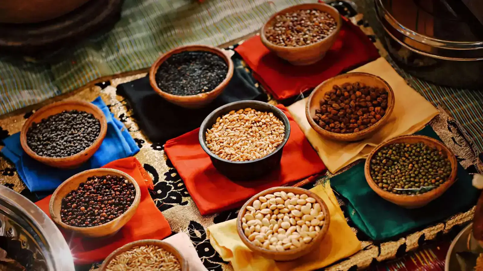 Organic Legumes: The Future of Sustainable Plant-Based Protein